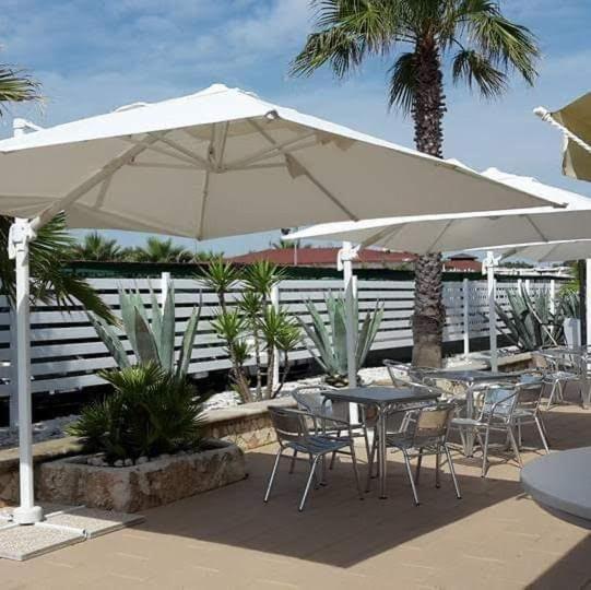 Bed and Breakfast Baywatch Маргерита-ді-Савоя Екстер'єр фото